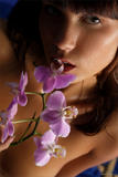 Nata - Orchid in the Nighth39138776q.jpg